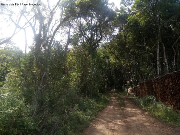 Imagem Terreno à Venda, 4 m² em Pinhal Alto - Nova Petrópolis Imagem Terreno à Venda, 4 m² em Pinhal Alto - Nova Petrópolis