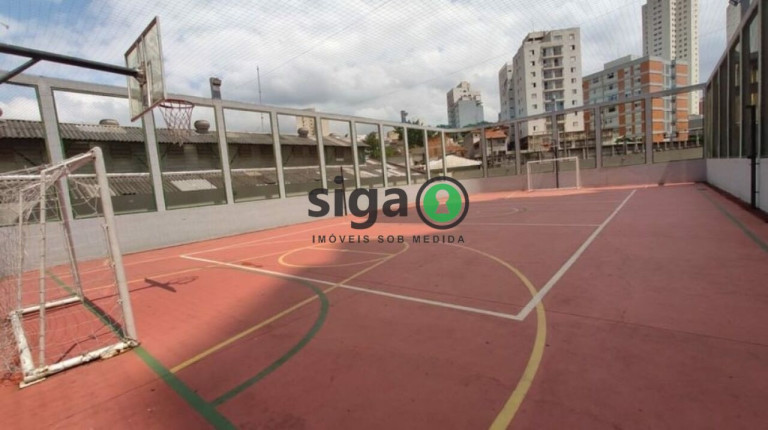 Imagem Apartamento com 3 Quartos à Venda, 65 m² em Aclimação - São Paulo Imagem Apartamento com 3 Quartos à Venda, 65 m² em Aclimação - São Paulo
