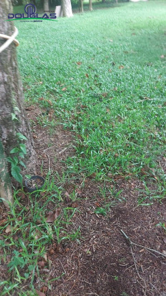 Imagem Casa com 2 Quartos à Venda, 3.300 m² em Viamão