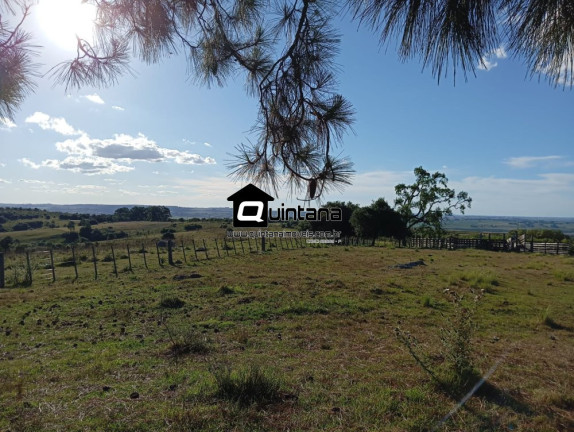 Imóvel à Venda, 750.000 m² em Centro - Herval