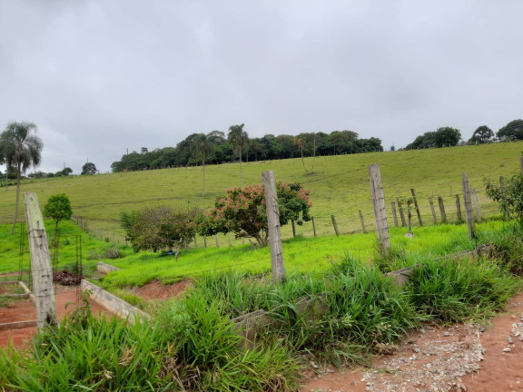 Imagem Terreno à Venda, 461 m² em Boa Vista Dos Silva - Bragança Paulista Imagem Terreno à Venda, 461 m² em Boa Vista Dos Silva - Bragança Paulista
