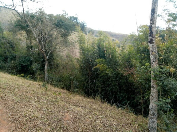 Imagem Chácara com 3 Quartos à Venda, 532 m² em Zona Rural - Cambuí