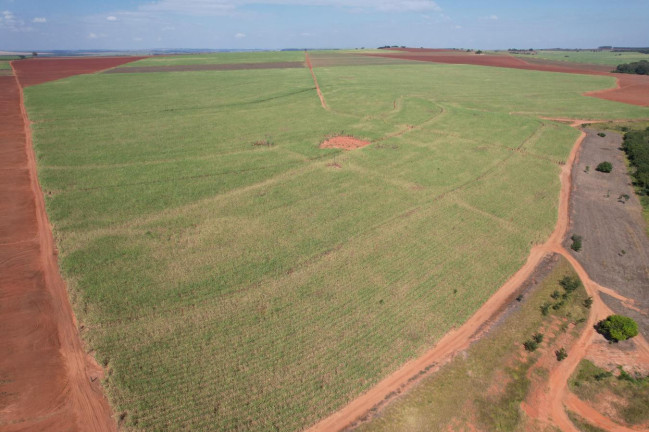 Imagem Fazenda à Venda, 64 m² em Zona Rural - Bariri Imagem Fazenda à Venda, 64 m² em Zona Rural - Bariri