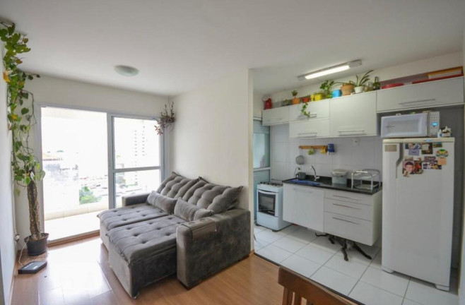 Imagem Apartamento com 2 Quartos à Venda, 50 m² em Cambuci - São Paulo Imagem Apartamento com 2 Quartos à Venda, 50 m² em Cambuci - São Paulo