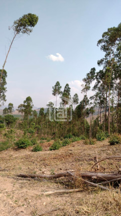 Imagem Imóvel à Venda, 24 m² em Pocinhos Do Rio Verde (rural) - Caldas Imagem Imóvel à Venda, 24 m² em Pocinhos Do Rio Verde (rural) - Caldas
