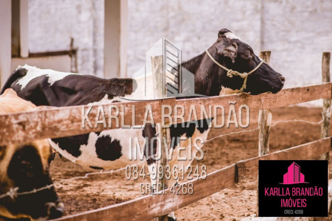 Imagem Imóvel com 3 Quartos à Venda, 250 m² em Zona Rural - Macaíba Imagem Imóvel com 3 Quartos à Venda, 250 m² em Zona Rural - Macaíba