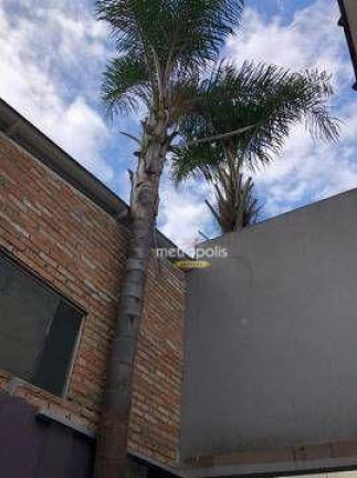 Imagem Casa para Alugar, 329 m² em Centro - São Caetano Do Sul Imagem Casa para Alugar, 329 m² em Centro - São Caetano Do Sul