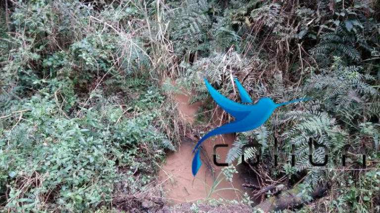 Chácara à Venda, 51.425 m² em Ribeirãozinho - Agudos Do Sul