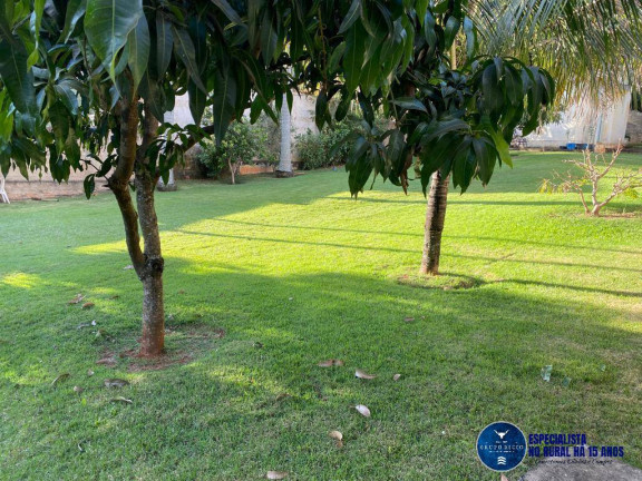 Imagem Chácara à Venda, 8.000 m² em Chácaras De Recreio São Joaquim - Goiânia Imagem Chácara à Venda, 8.000 m² em Chácaras De Recreio São Joaquim - Goiânia