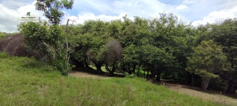 Imagem Fazenda à Venda, 5.000 m² em Alto Da Serra - São Roque