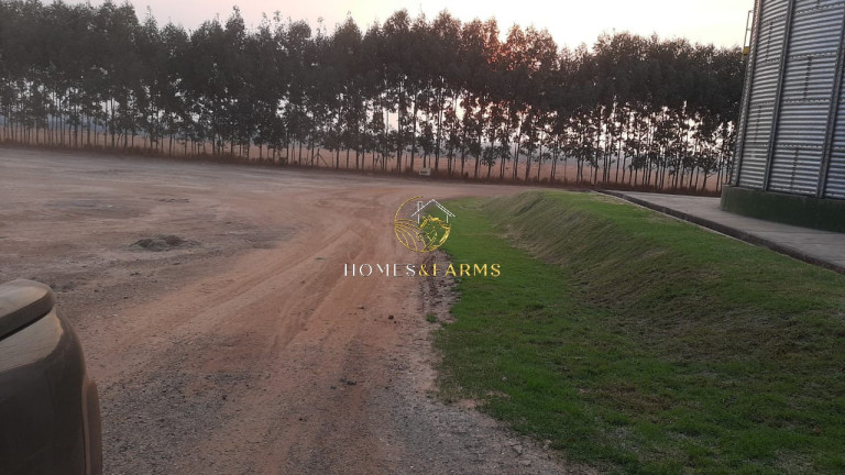 Imagem Imóvel com 3 Quartos à Venda, 49.937 m² em Nova Ubiratã - Nova Ubiratã