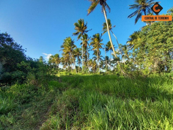 Imagem Terreno à Venda, 911.000 m² em Barra Do Jacuipe - Camaçari Imagem Terreno à Venda, 911.000 m² em Barra Do Jacuipe - Camaçari
