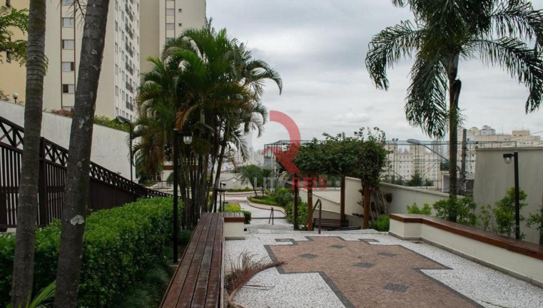 Apartamento com 3 Quartos à Venda, 72 m² em Mandaqui - São Paulo