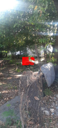 Imagem Terreno à Venda, 1 m² em Sagrada Família - Belo Horizonte Imagem Terreno à Venda, 1 m² em Sagrada Família - Belo Horizonte
