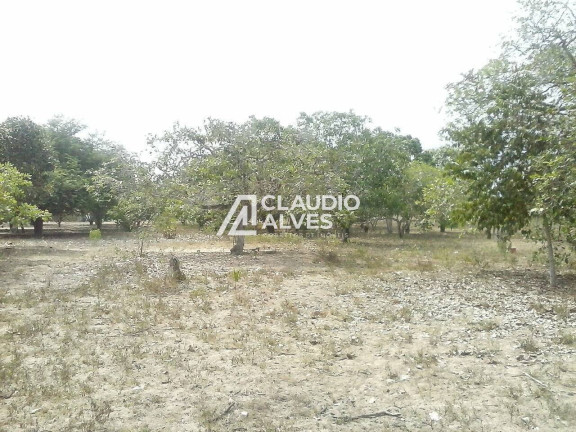 Imagem Terreno à Venda, 10 m² em Jaíba - Feira De Santana