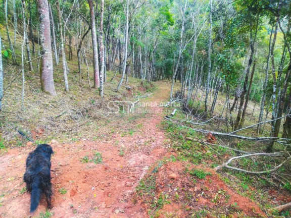 Imagem Imóvel com 1 Quarto à Venda, 5.000 m² em Casa Montanha - Delfim Moreira