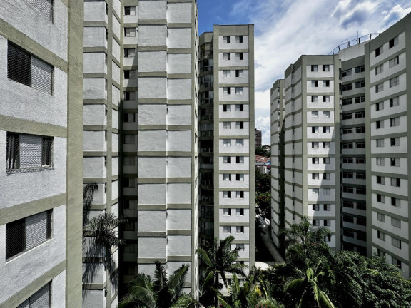 Imagem Apartamento com 3 Quartos à Venda, 74 m² em Jardim Marajoara - São Paulo Imagem Apartamento com 3 Quartos à Venda, 74 m² em Jardim Marajoara - São Paulo