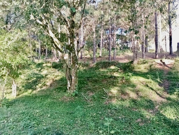 Imagem Fazenda à Venda, em Zona Rural (bugre) - Balsa Nova Imagem Fazenda à Venda, em Zona Rural (bugre) - Balsa Nova