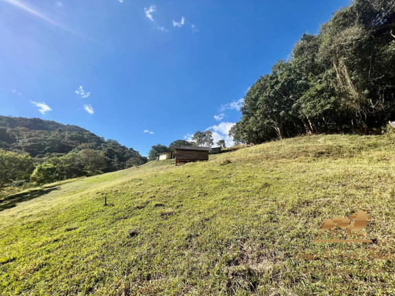 Imagem Chácara com 4 Quartos à Venda, 36.000 m² em Zona Rural - Santo Antônio Do Pinhal Imagem Chácara com 4 Quartos à Venda, 36.000 m² em Zona Rural - Santo Antônio Do Pinhal