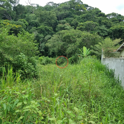 Terreno à Venda, 1 m² em Boiçucanga - São Sebastião