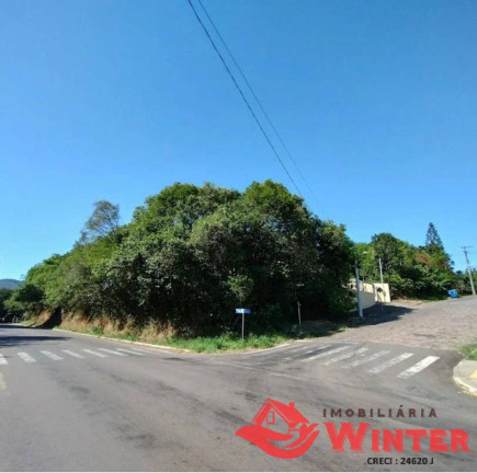 Imagem Terreno à Venda, 9.729 m² em Vila Rica - Feliz Imagem Terreno à Venda, 9.729 m² em Vila Rica - Feliz