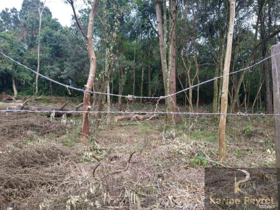 Imagem Terreno à Venda, 250 m² em Campestre - São Leopoldo Imagem Terreno à Venda, 250 m² em Campestre - São Leopoldo