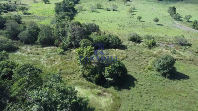 Imagem Fazenda à Venda, 1.925.928 m² em Zona Rural - Entre Rios Imagem Fazenda à Venda, 1.925.928 m² em Zona Rural - Entre Rios