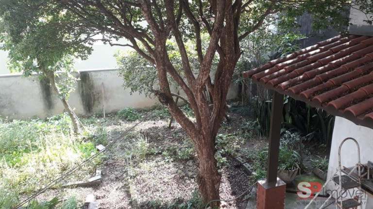 Imagem Terreno à Venda, 300 m² em Cidade Patriarca - São Paulo Imagem Terreno à Venda, 300 m² em Cidade Patriarca - São Paulo