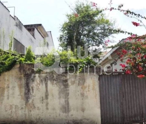Imagem Casa com 4 Quartos à Venda, 109 m² em água Fria - São Paulo Imagem Casa com 4 Quartos à Venda, 109 m² em água Fria - São Paulo
