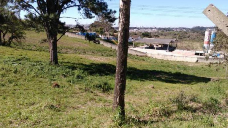 Imagem Terreno à Venda, 24.337 m² em Thomaz Coelho - Araucária Imagem Terreno à Venda, 24.337 m² em Thomaz Coelho - Araucária