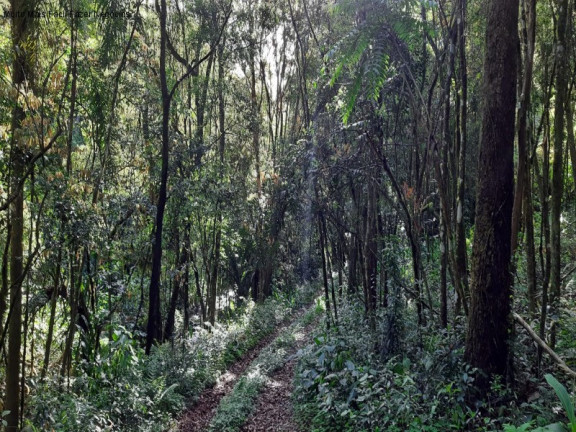 Imagem Terreno à Venda, 3 m² em São Jacó - Nova Petrópolis