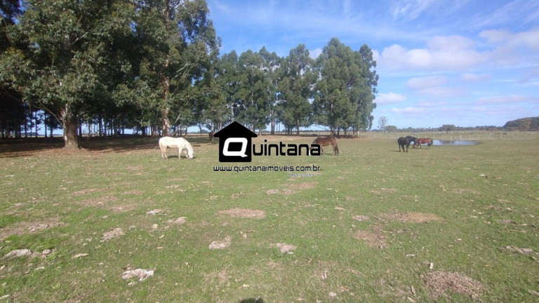 Imagem Imóvel com 2 Quartos à Venda, 470.000 m² em Quinta - Rio Grande