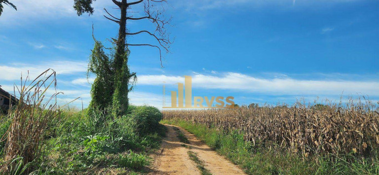 Imagem Fazenda à Venda, 291.613 m² em Porto Feliz - Sorocaba - Porto Feliz Imagem Fazenda à Venda, 291.613 m² em Porto Feliz - Sorocaba - Porto Feliz
