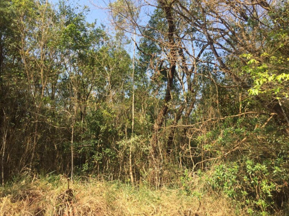 Imagem Chácara à Venda, 20.000 m² em Ponte Alta - Avaré Imagem Chácara à Venda, 20.000 m² em Ponte Alta - Avaré