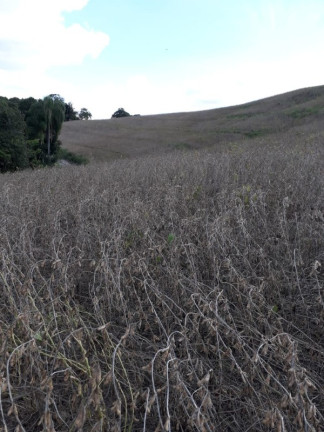 Imagem Imóvel com 3 Quartos à Venda, 120 m² em Area Rural - Lapa
