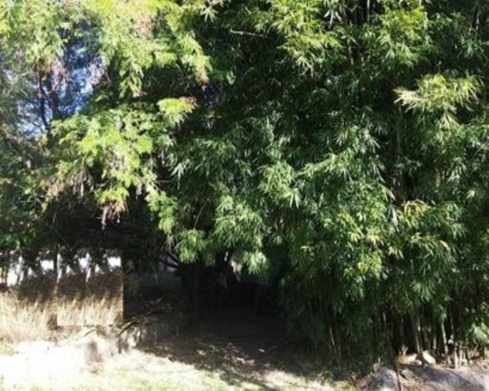 Terreno à Venda, 1.208 m² em Ackermann - Nova Petrópolis