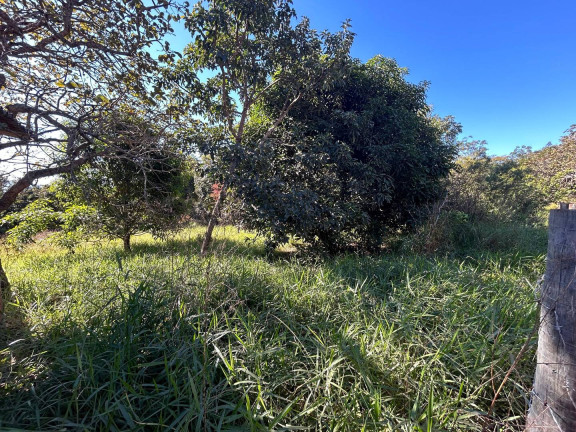 Imagem Chácara à Venda, 5 m² em Serra Azul - Mateus Leme