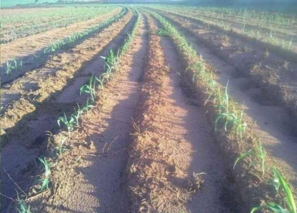 Imagem Chácara à Venda, 276 m² em Centro - Echaporã Imagem Chácara à Venda, 276 m² em Centro - Echaporã