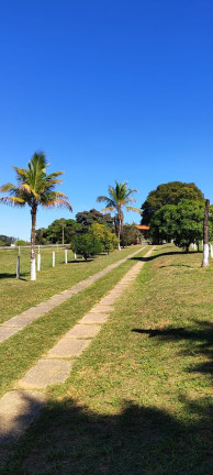 Imagem Imóvel com 14 Quartos à Venda, 25.000 m² em Centro - Itapetininga Imagem Imóvel com 14 Quartos à Venda, 25.000 m² em Centro - Itapetininga