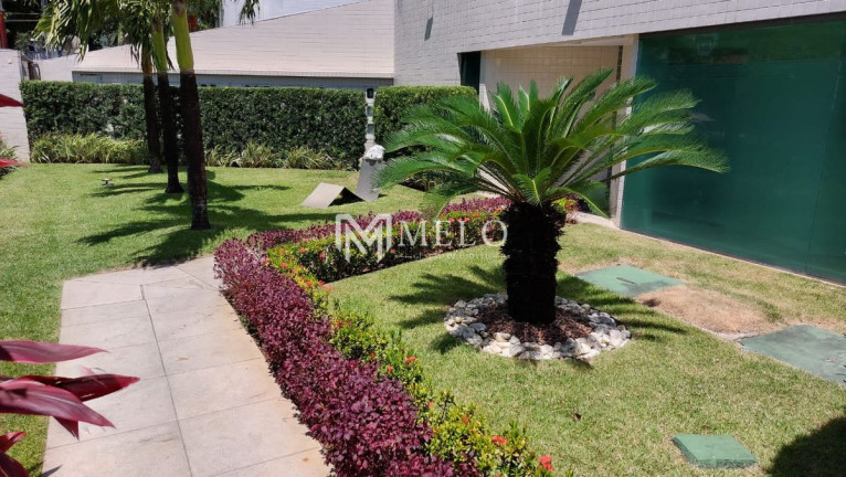 Imagem Apartamento com 4 Quartos à Venda, 122 m² em Casa Forte - Recife Imagem Apartamento com 4 Quartos à Venda, 122 m² em Casa Forte - Recife