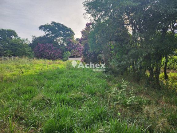 Imagem Terreno à Venda, 1.500 m² em Village Campinas - Campinas Imagem Terreno à Venda, 1.500 m² em Village Campinas - Campinas