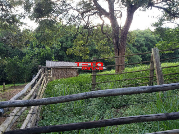 Imagem Terreno à Venda, 3.460 m² em Zona Rural De São Lourenço Mg - São Lourenço Imagem Terreno à Venda, 3.460 m² em Zona Rural De São Lourenço Mg - São Lourenço