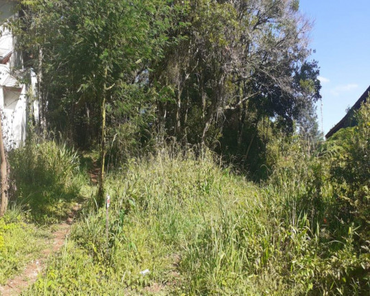Imagem Imóvel à Venda, 3.286 m² em Pousada Da Neve - Nova Petrópolis