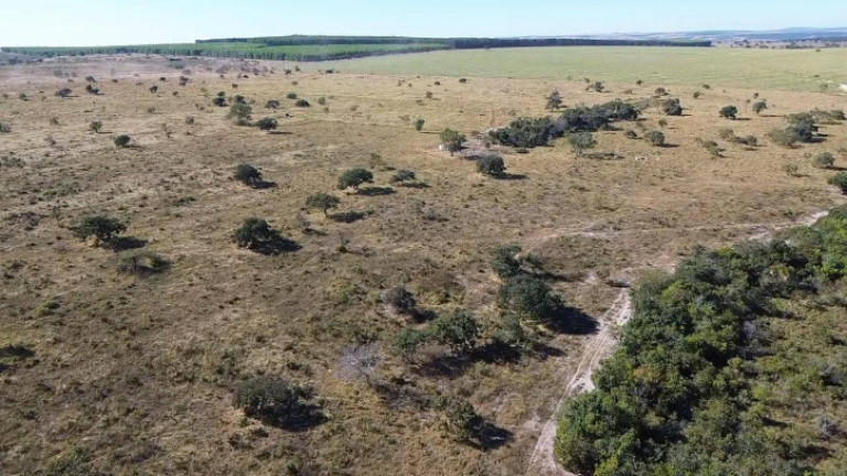 Fazenda à Venda, 30 m² em Zona Rural - Paraúna