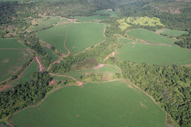 Imagem Fazenda à Venda, 160 m² em Zona Rural - Rio Verde