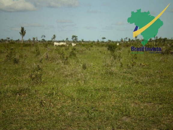Imagem Fazenda à Venda, 12 m² em Centro - Buerarema Imagem Fazenda à Venda, 12 m² em Centro - Buerarema