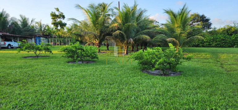 Imagem Chácara com 2 Quartos à Venda, 14.600 m² em Povoado - Pedras De Fogo