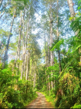 Imagem Chácara à Venda, 1.860.000 m² em Centro - Mogi Das Cruzes Imagem Chácara à Venda, 1.860.000 m² em Centro - Mogi Das Cruzes