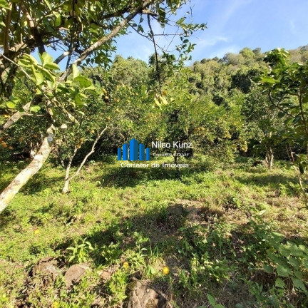Imagem Chácara à Venda, 120.000 m² em Bento Gonçalves Imagem Chácara à Venda, 120.000 m² em Bento Gonçalves