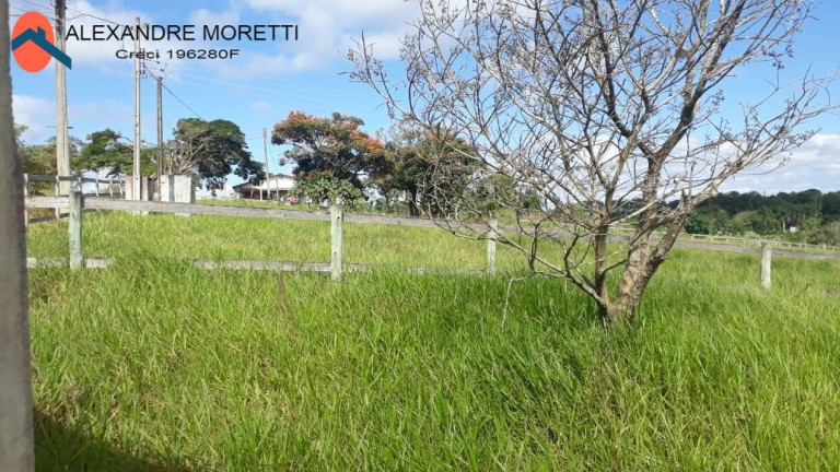 Imagem Chácara à Venda, 1.000 m² em Cercado - Araçoiaba Da Serra Imagem Chácara à Venda, 1.000 m² em Cercado - Araçoiaba Da Serra
